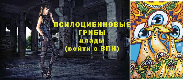 MESCALINE Аркадак