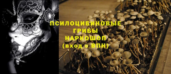 MESCALINE Аркадак