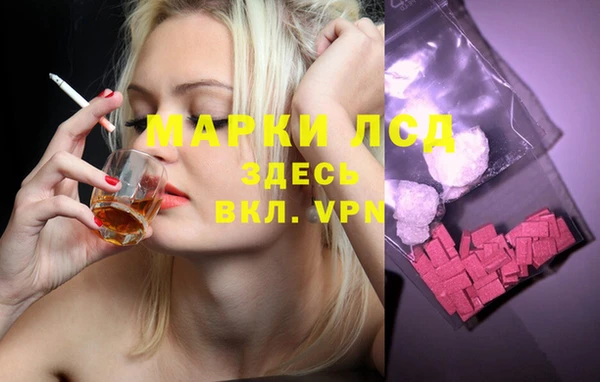 MESCALINE Аркадак