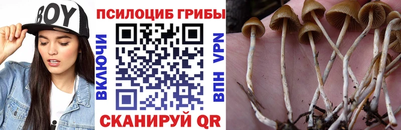 Псилоцибиновые грибы мицелий цена Сортавала
